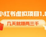 《小红书虚拟项目1.0》账号注册+养号+视频制作+引流+变现,几天就赚两三千-阳知网创资源库