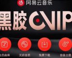 网易云音乐撸黑胶年卡及变现方法,收益可无限放大-阳知网创资源库
