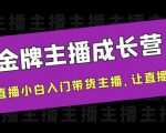 金牌主播成长营,一周从直播小白入门带货主播,让直播更简单-阳知网创资源库