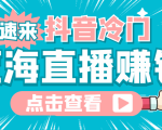 最新抖音冷门简单的蓝海直播赚钱玩法,流量大知道的人少,可做到全无人直播-阳知网创资源库