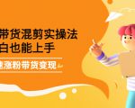 最新抖音冷门简单的蓝海直播赚钱玩法,流量大知道的人少,可做到全无人直播-阳知网创资源库