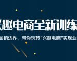 兴趣电商全新训练营:打破品销边界,带你玩转“兴趣电商“实现业务增长-阳知网创资源库