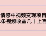 副业孵化营第5期:抖音情感中视频变现项目孵化 单条视频收益几十上百-阳知网创资源库