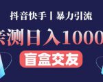 日收益1000+的交友盲盒副业丨有手就行的抖音快手暴力引流-阳知网创资源库