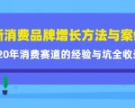 新消费品牌增长方法与案例精华课:20年消费赛道的经验与坑全收录-阳知网创资源库