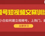 视频号短视频文案训练营:0基础小白如何建立视频号,上热门,能卖货!-阳知网创资源库
