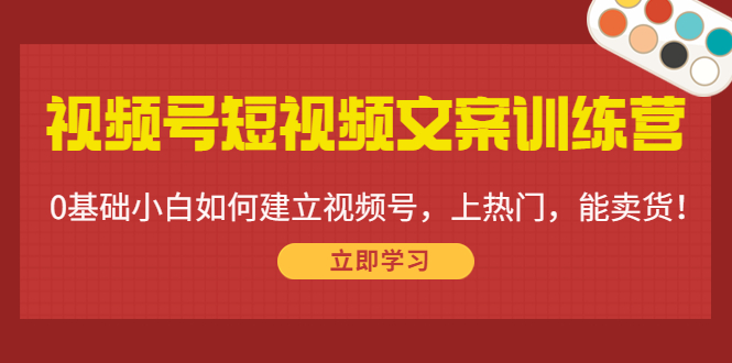 视频号短视频文案训练营:0基础小白如何建立视频号,上热门,能卖货!-阳知网创资源库