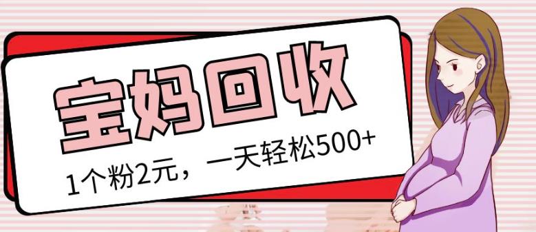 最新小红书母婴号宝妈粉回收项目,1个粉2元,一天轻松500+案例分享【粉丝包回收】-阳知网创资源库