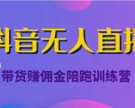 抖音无人直播带货赚佣金陪跑训练营（价值6980元）-阳知网创资源库
