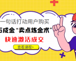 点石成金“卖点炼金术”一句话打动用户购买,快速激活成交!-阳知网创资源库