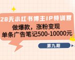 28天小红书博主IP特训营《第9期》做爆款,涨粉变现 单条广告笔记500-10000-阳知网创资源库