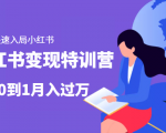 小红书变现特训营:带你快速入局小红书,从0到1月入过万-阳知网创资源库