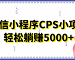 微信小程序CPS小项目，有微信就能做，轻松上手躺赚5000+-阳知网创资源库