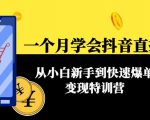 一个月学会抖音直播带货:从小白新手到快速爆单变现特训营(63节课)-阳知网创资源库