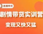 《剧情带货实训营》目前最好的直播带货方式,变起现来是又快又猛(价值980元)-阳知网创资源库