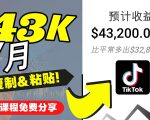 2022抖音国际版Tiktok赚钱项目:每天上传一个视频就轻松月入$43200-阳知网创资源库