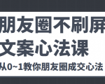 朋友圈不刷屏文案心法课 人人都要懂的商业逻辑 从0~1教你朋友圈成交心法-阳知网创资源库