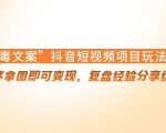 “毒文案”抖音短视频项目玩法，小程序拿图即可变现，复盘经验分享给大家-阳知网创资源库