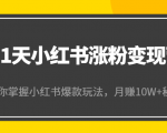 21天小红书涨粉变现营(第4期):带你掌握小红书爆款玩法,月赚10W+秘密-阳知网创资源库