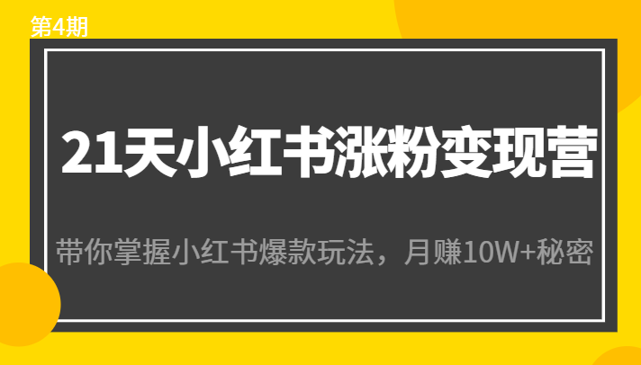 21天小红书涨粉变现营(第4期):带你掌握小红书爆款玩法,月赚10W+秘密-阳知网创资源库