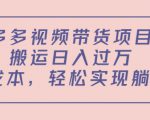 多多视频带货项目,搬运日入过万,0成本,轻松实现躺赚(教程+软件)-阳知网创资源库