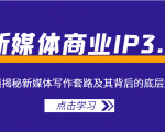 新媒体商业IP3.0,全面揭秘新媒体写作套路及其背后的底层逻辑(价值1299元)-阳知网创资源库