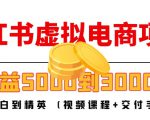 小红书虚拟电商项目:从小白到精英 月收益5000到30000 (视频课程+交付手册)-阳知网创资源库