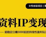 资料IP变现,能稳定日赚3000起的持续性盈利玩法-阳知网创资源库
