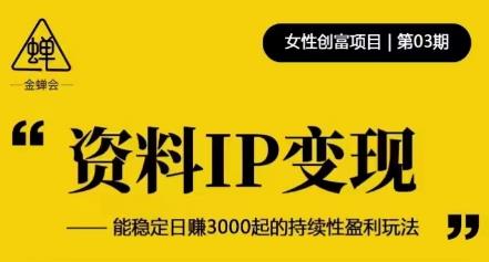 资料IP变现,能稳定日赚3000起的持续性盈利玩法-阳知网创资源库