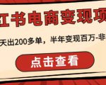 顽石·小红书电商变现项目,实测当天出200多单,半年变现百万,非常稳定-阳知网创资源库