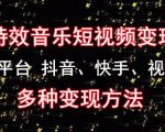 黄岛主《粒子特效音乐短视频变现项目》主攻平台抖音、快手、视频号多种变现方法-阳知网创资源库