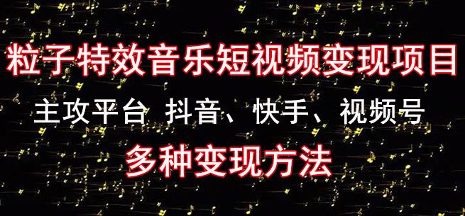 黄岛主《粒子特效音乐短视频变现项目》主攻平台抖音、快手、视频号多种变现方法-阳知网创资源库