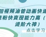 短视频油管动画快速制作涨粉快变现能力高(0基础进阶大神)-阳知网创资源库