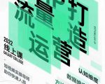 大蓝流量运营&个人ip打造课,短视频带货/爆款文案/流量运营/直播入门/镜头变现/流量商业-阳知网创资源库