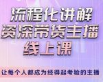 婉婉-主播拉新实操课,流程化讲解资深带货主播,让每个人都成为经得起考验的主播-阳知网创资源库
