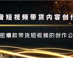 抖音短视频带货内容创作班,解密爆款带货短视频的创作公式-阳知网创资源库
