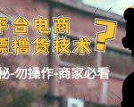 外面收费2980的全平台电商白嫖撸货技术(仅揭秘勿操作-商家防范必看)-阳知网创资源库