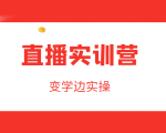 直播实训营,变学边实操,成为运营型主播,拉动直播间人气-阳知网创资源库