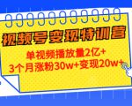 21天视频号变现特训营:单视频播放量2亿+3个月涨粉30w+变现20w+(第14期)-阳知网创资源库