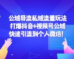 公域导流私域流量玩法:打爆抖音+视频号公域,快速引流到个人微信!-阳知网创资源库