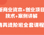 新商业资本+创业项目,技术+案例讲解,精英进阶班全套课程-阳知网创资源库