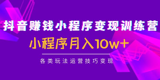 抖音赚钱小程序变现训练营：小程序月入10w+各类玩法运营技巧变现-阳知网创资源库