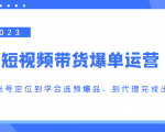 2023短视频带货爆单运营,从账号定位到学会选预爆品,到代理完成出单(价值1250元)-阳知网创资源库