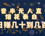 抖音半无人直播烟花表白,日赚几十到几百(教程+视频模板素材)-阳知网创资源库