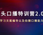 镜头口播特训营2.0版,学习文案编导以及拍摄口播能力(50节课时)-阳知网创资源库