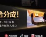 2022年最新中视频变现最稳最长期的项目,一个账号月入几万很简单-阳知网创资源库