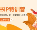 小红书IP特训营:从搭建-制作-爆款脚本等等,做一个赚钱的小红书号-阳知网创资源库