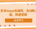 跨境拼多多temu实战营,从0到1打造爆款,快速变现-阳知网创资源库