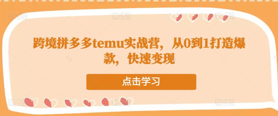 跨境拼多多temu实战营,从0到1打造爆款,快速变现-阳知网创资源库