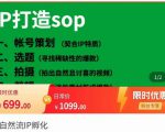 瑶瑶·自然流IP孵化,系统掌握IP孵化全流程,也能学到选题,剪辑,账号运营经验-阳知网创资源库